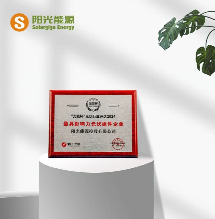 Highlight | Solargiga Energy Was Again Honored as the "Most Influential PV Module Enterprise" in the "Solar Energy Cup"